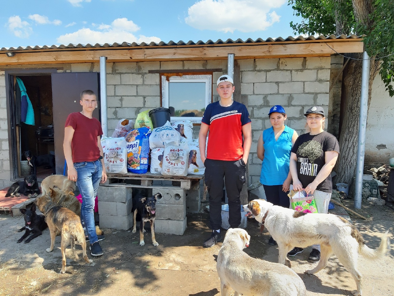 Вот бы побольше и почаще! – Представители колледжа завершили майский марафон добрых дел благотворительной акцией в приюте собак «Дино»