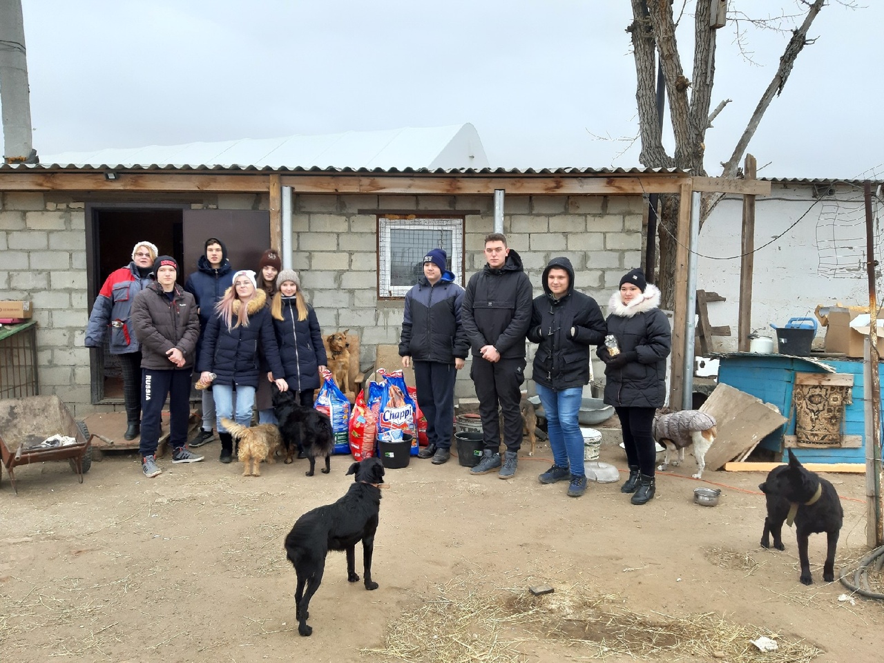Делегация Волгоградского энергетического колледжа доставила собранную помощь в приют собак «Дино»